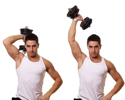 Fit Взрослых Женщин И Мужчин Практикующих Йогу Позы В Фитнесклассе Группа  Здоровых Сильных Людей Делает Упражнения Подходят В Белом Трена — стоковые  фотографии и другие картинки Атлет - iStock