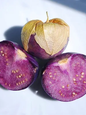 Физалис овощной Пурпурный (Tomatillo Purple)