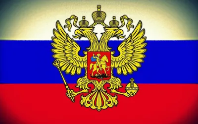 Скачать обои и картинки флаг, россия, небо для рабочего стола в разрешении  1080x2248