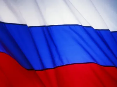 обои : 1920x1200 px, Медведь, флаг, Россия, русский 1920x1200 - goodfon -  1226479 - красивые картинки - WallHere