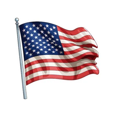 Нашивка на грудь флаг США купить в интернет магазине СПб