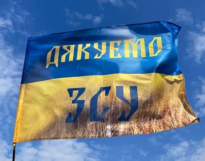 Флаг ВДВ РФ, большой флаг, 135х90, флажная сетка - купить Флаг по выгодной  цене в интернет-магазине OZON (159412558)