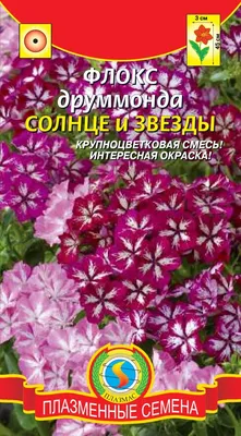 Купить Флокс Солнце и звезды (п) от