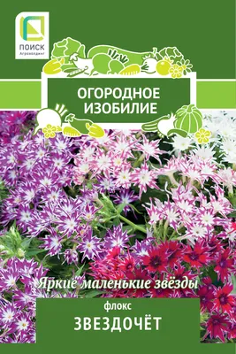 Флокс Звездочет 0.2 г в Туле – купить по низкой цене в интернет-магазине  Леруа Мерлен