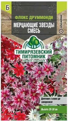 Флокс МЕРЦАЮЩИЕ ЗВЕЗДЫ СМЕСЬ 0,1г / Семена цветов купить по цене 49 ₽ в  интернет-магазине KazanExpress