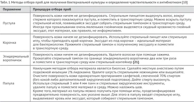 Фолликулярная дисплазия разбавленного окраса | Клинический Случай  Ветклиники Василёк