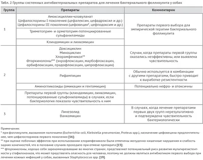 Лишай у собак 🐶 – виды, симптомы и признаки заражения питомца