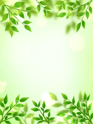 Свежий летний зеленый лист пятно красивый фон Обои Изображение для  бесплатной загрузки - Pngtree