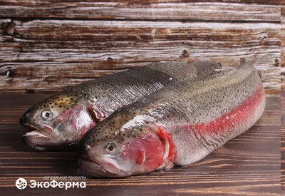 🐟Также как и семга, форель радужная относится к лососю. Обитая в пресной  воде цвет ее мяса остаётся более светлым, слегка… | Instagram