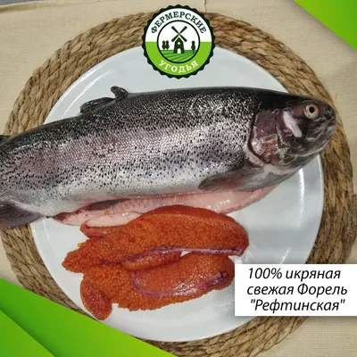 Форель - описание продукта, как выбирать, как готовить, читайте на  Gastronom.ru