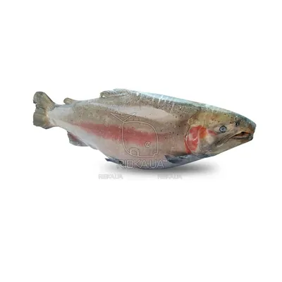 Купили стейки по соблазнительной цене». Что за красная рыба попала в  магазины?