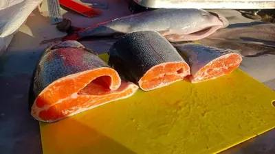Красная рыба — ФОРЕЛЬ: виды и отличия