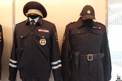 В России упростили поступление на службу в МВД: причины, последствия:  Полиция и спецслужбы: Силовые структуры: Lenta.ru