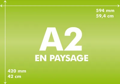 Печать на бумаге любого изображения, формат А3, А2, А1, А0 и более