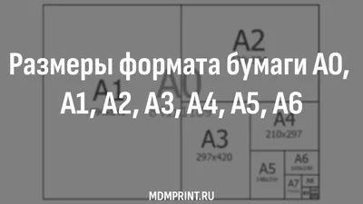 Тетрадь ученическая 12 листов, формат А5, скрепка, линейка , набор 10 шт -  купить с доставкой по выгодным ценам в интернет-магазине OZON (306434311)