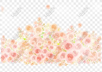 Розовая красивая роза без фона изображение_Фото номер 649834847_PSD Формат  изображения_ru.lovepik.com