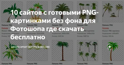 Как убрать фон с картинки в PowerPoint