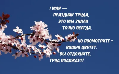 Празднование 1-го Мая и РККА | Российский государственный военный архив