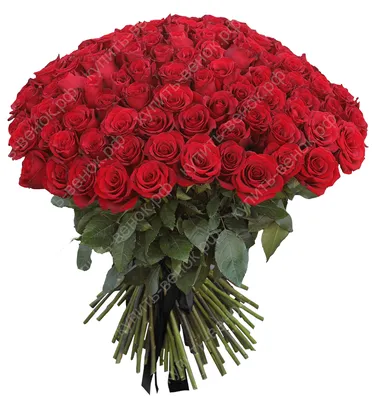 Траурный букет из живых цветов \"100 бордовых роз\"– купить в  интернет-магазине, цена, заказ online