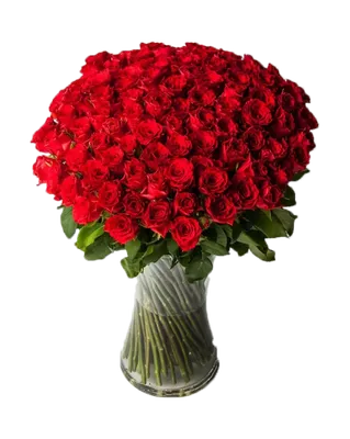 Букет из красных роз - доставка цветов в Праге и по всей Чехии