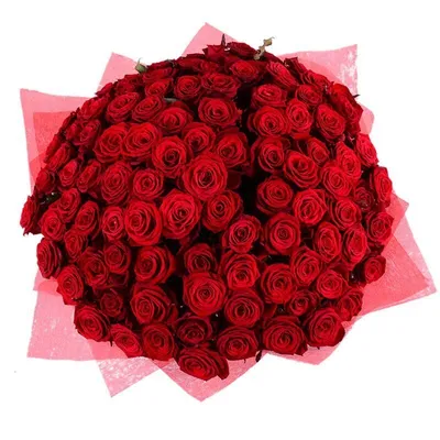 100 Красных Роз В Букете от салона цветов Флордель