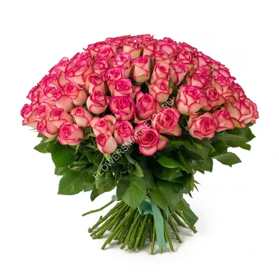 Букет из 100 роз (Carousel) - Цветочный Маркет 24 в Видном