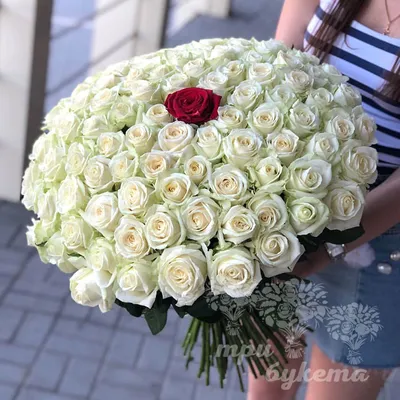 Букет из 100 роз | Розы | Цветы