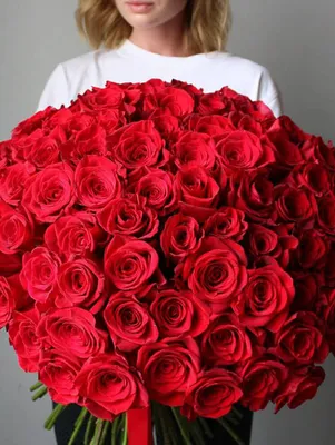 Букет из 15 роз Эквадор 100 см - купить в Москве по цене 7390 р - Magic  Flower