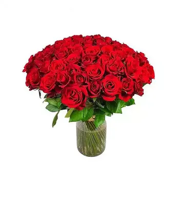 Букет из 101 красной розы Эквадор 100 см - купить в Москве по цене 44490 р  - Magic Flower