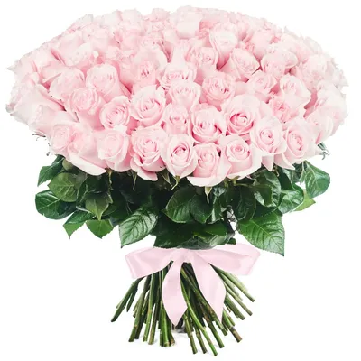 Метровые розы (100 см) купить в Москве по выгодной цене c бесплатной  доставкой ✿ Интернет-магазин Bella Roza