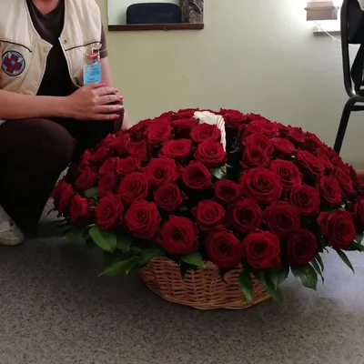 100 красных роз Explorer, крупный темно-красный цветок | KvětinyExpres.cz