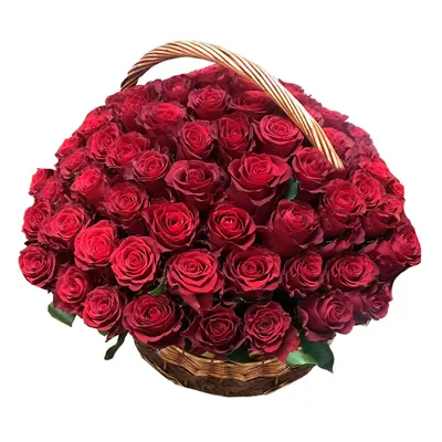 Букет из 9 красных роз 100 см купить в Солигорске