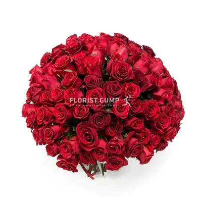 101 роза купить в Москве недорого - заказать букет из 101 розы с бесплатной  доставкой