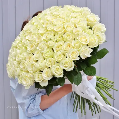 Almaflowers.kz | 101 белая роза - купить в Алматы по лучшей цене с доставкой