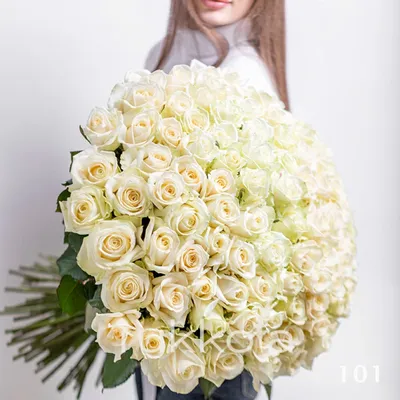 Фото 101 белой розы фотографии
