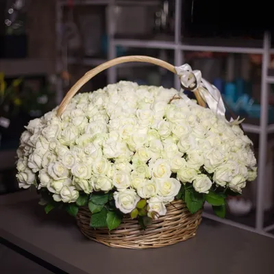 101 белая метровая роза, сорт Мондиаль, купить с доставкой в  royal-flowers.dp.ua