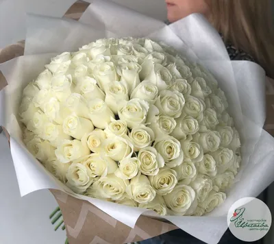 101 белая роза Атена. Купить цветы.