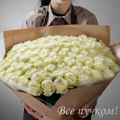 101 белая роза в корзине - 32241 букетов в Москве! Цены от 707 руб. Зеленая  Лиса , доставка за 45 минут!