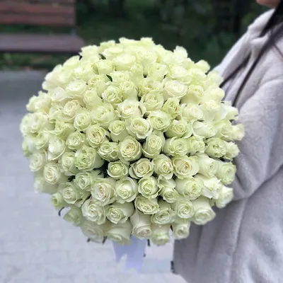 Купить Букет 101 роза красная и белая с упаковкой R501 в Москве, цена 16  198 руб.