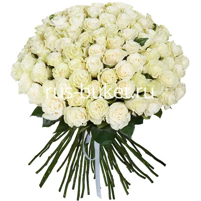 Artflower.kz | Букет из 101 белой и красной розы - Купить с доставкой в  Алматы по лучшей цене