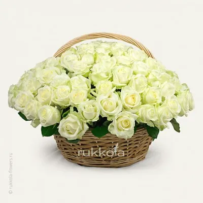 Красно-белый микс из 101 розы - Green Rose