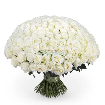 Artflower.kz | Букет из 101 белой розы - Купить с доставкой в Алматы по  лучшей цене