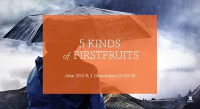 5 Kinds of Firstfruits (Session 5 – John 20:3-9; 1 Corinthians 15:20-28) -  Explore the Bible