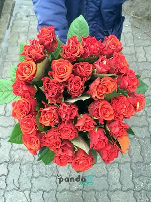 Купить букет из 31 малиновой розы (70 см.) по доступной цене с доставкой в  Москве и области в интернет-магазине Город Букетов