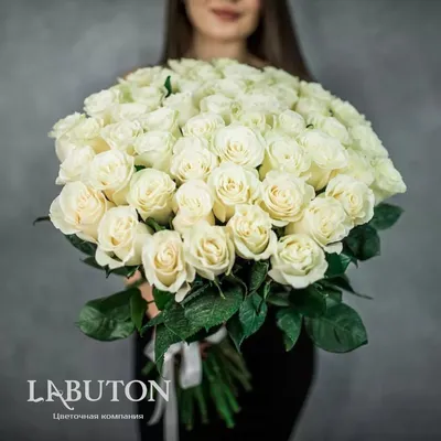 Купить букет 31 красная роза | VIAFLOR