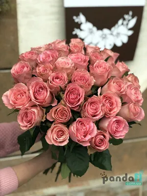 Букет из 31 белой розы \"Льдинка\"