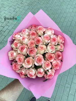 31 роза - pandafl.com.ua