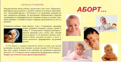 Информация об аборте - ТОГБУЗ «Токарёвская центральная районная больница»