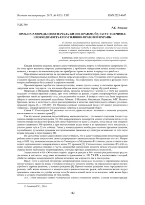 Этапы роста щенка: от зачатия до 12-недельного возраста