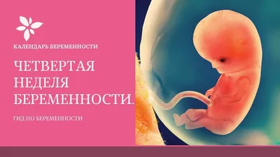 Оптимизация лечения врождённых лимфангиом – тема научной статьи по  естественным и точным наукам читайте бесплатно текст  научно-исследовательской работы в электронной библиотеке КиберЛенинка